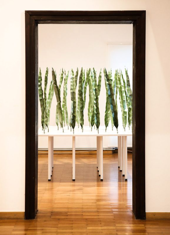 kinetic installation art bioart by nina koželj